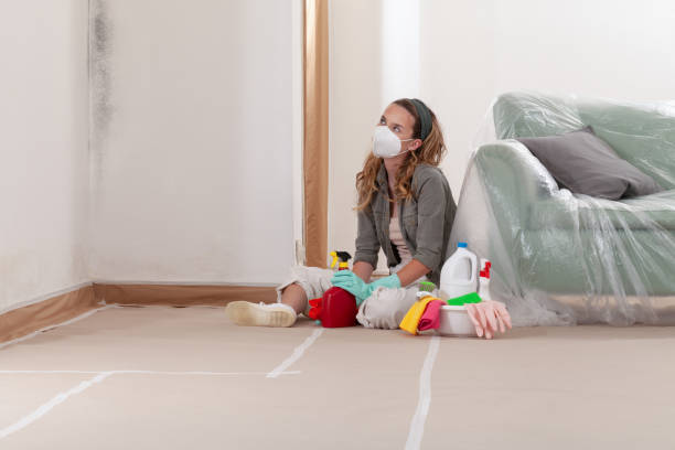 Reliable Mold Remediation contractor in Little Falls, NY by 24 Hour Mold Removal